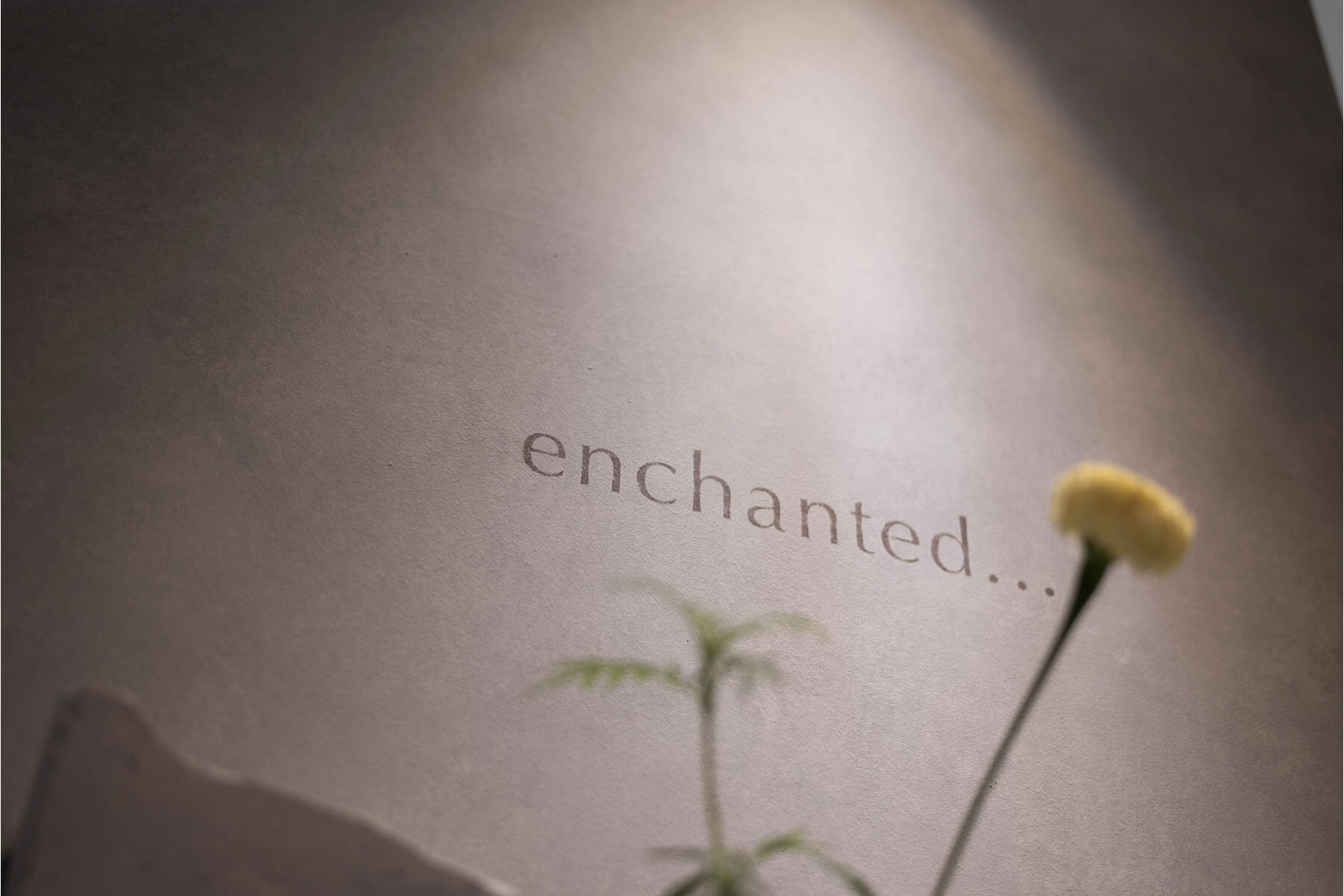 enchanted… / Fukuoka